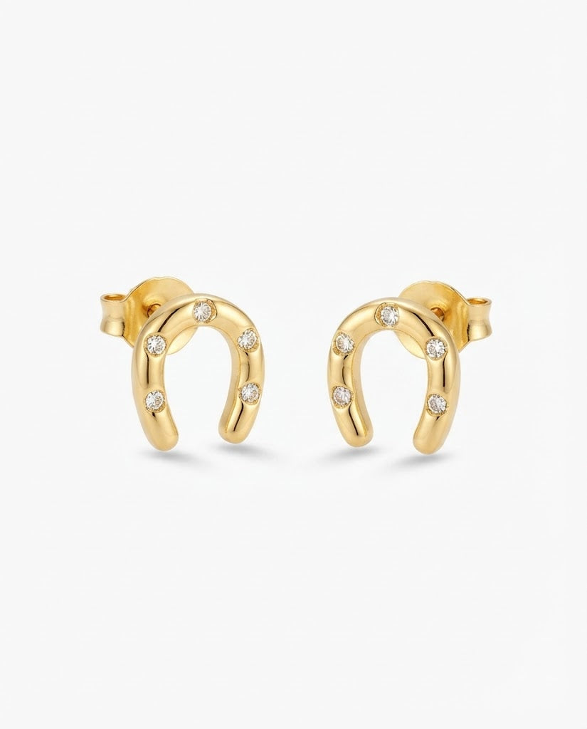 Aretes herradura