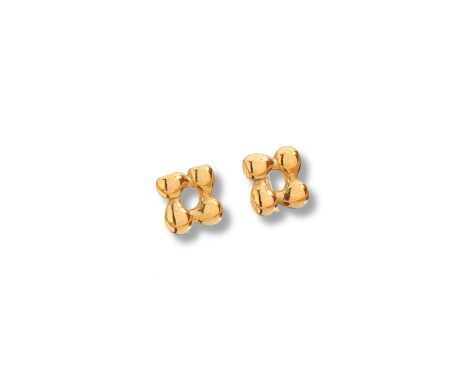 Aretes Lorena