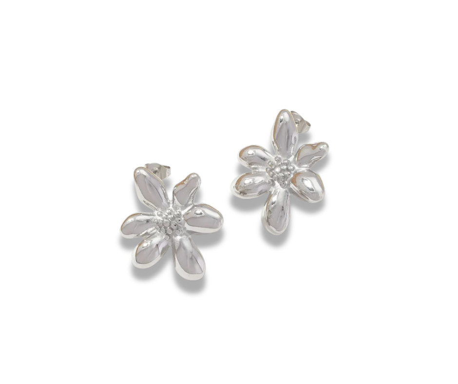 Aretes Maggie plata