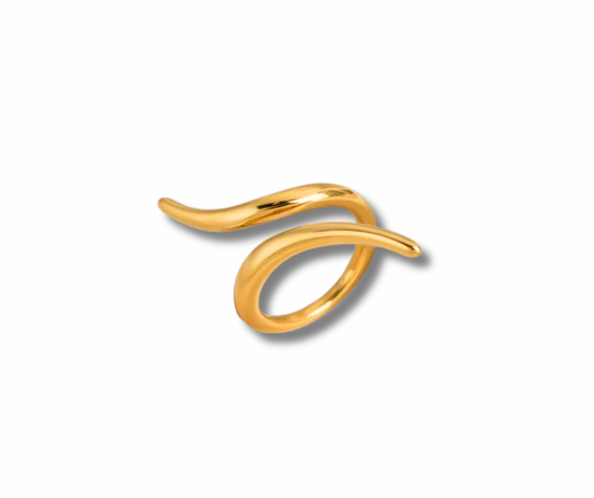 Anillo serpiente