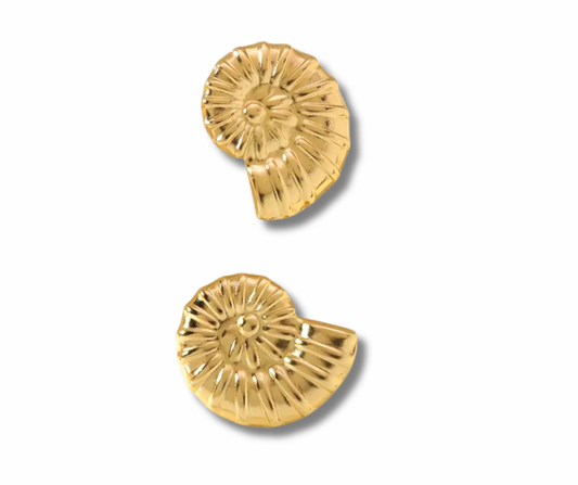 Aretes caracol