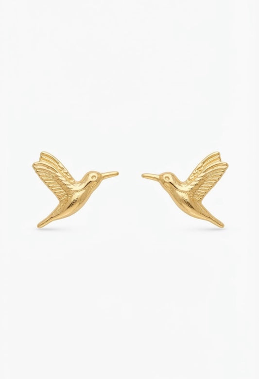 Aretes colibrí