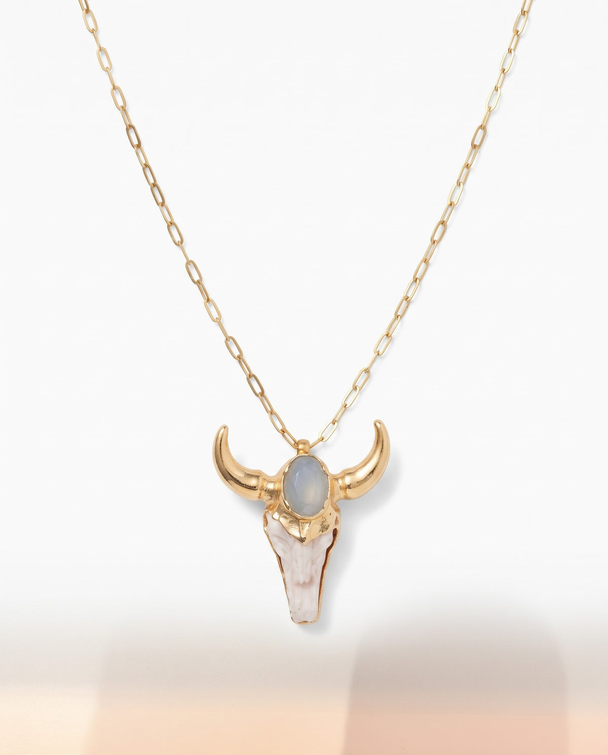 Collar Toro