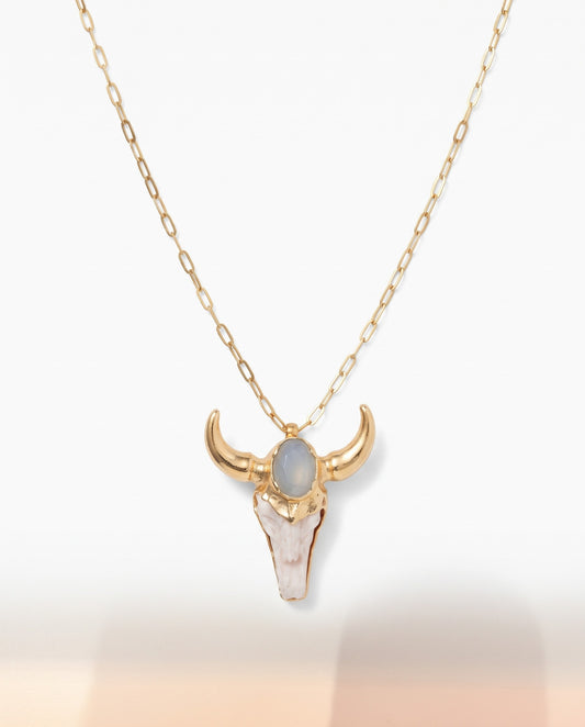 Collar Toro