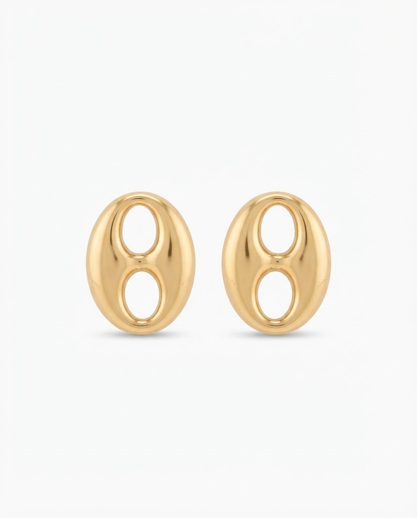 Aretes corcholata grande