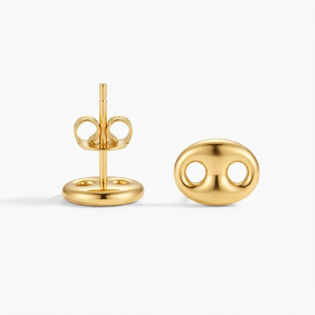 Aretes corcholata