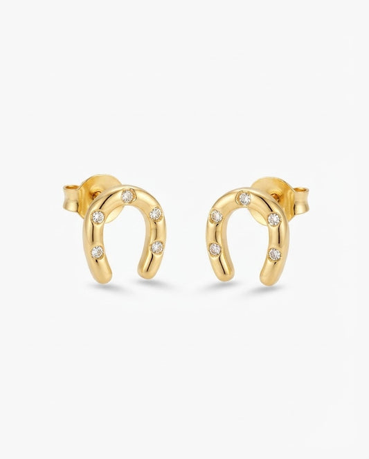 Aretes herradura