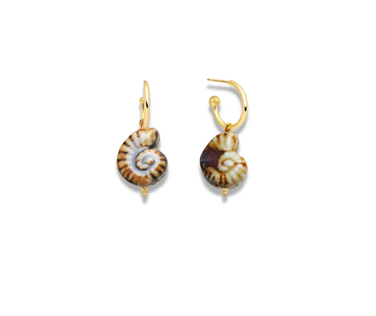 Aretes Caracol café