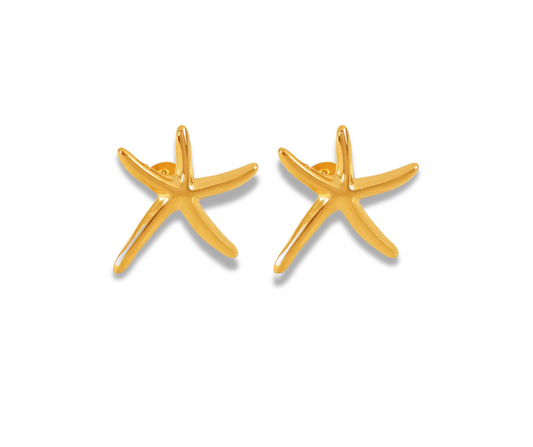 Aretes Estrella de mar
