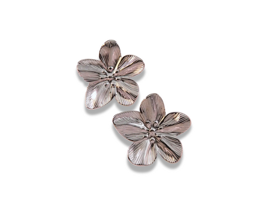 Aretes Orquídea Plateado