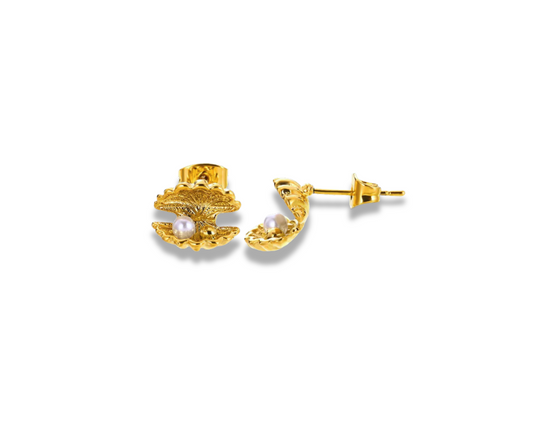 Aretes Ostra