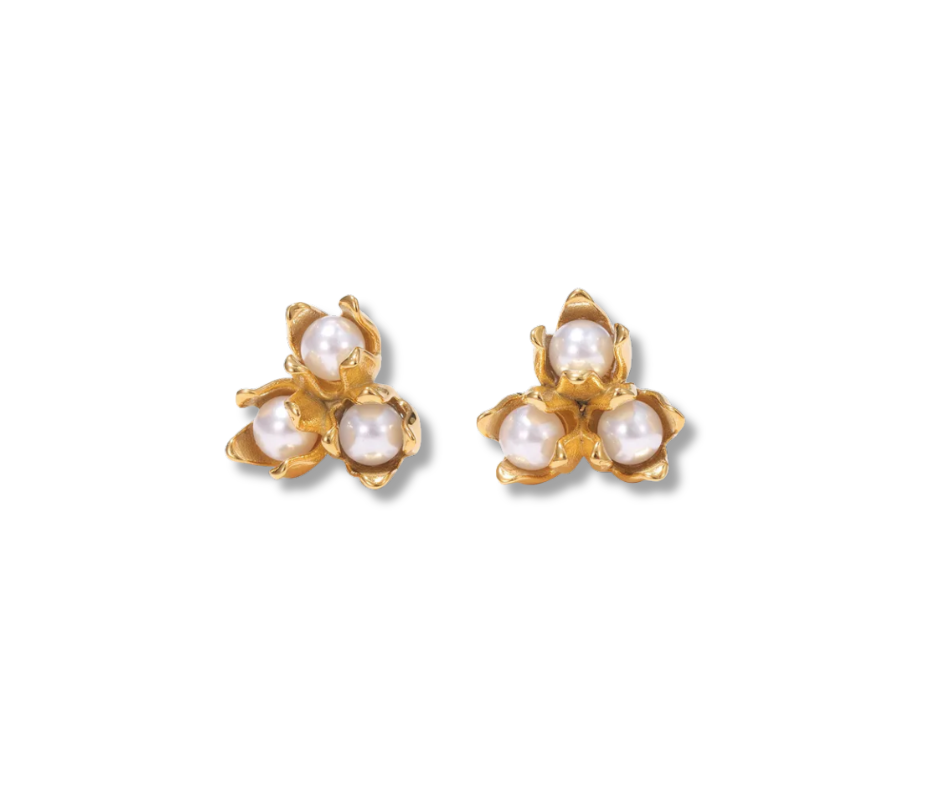 Aretes Sierra