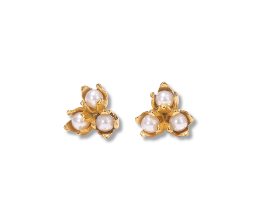 Aretes Sierra